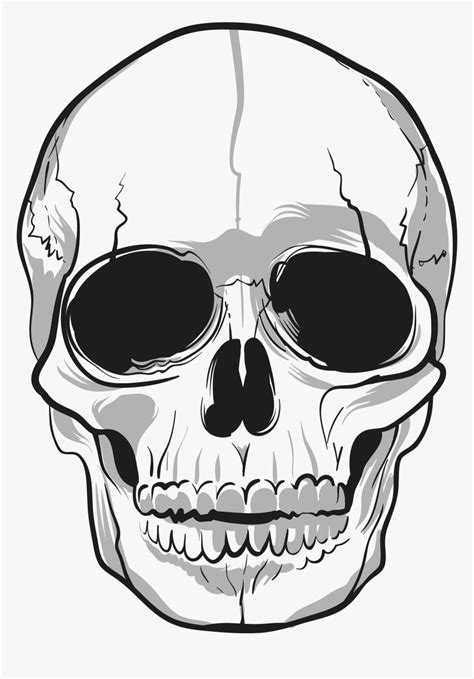 skull png|Skull PNG & Download Transparent Skull PNG .
